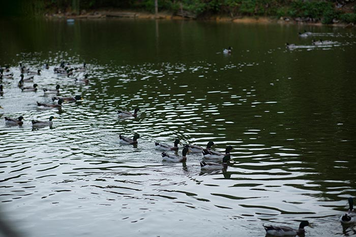 同心逐梦，温暖同行 —— 尊时凯龙人生就博集团20周年庆团建精彩回顾！