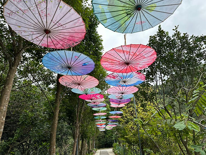 同心逐梦，温暖同行 —— 尊时凯龙人生就博集团20周年庆团建精彩回顾！