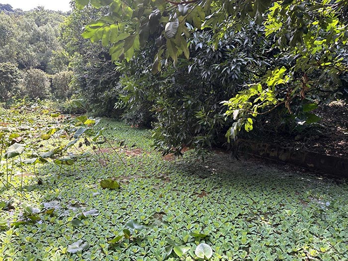 同心逐梦，温暖同行 —— 尊时凯龙人生就博集团20周年庆团建精彩回顾！